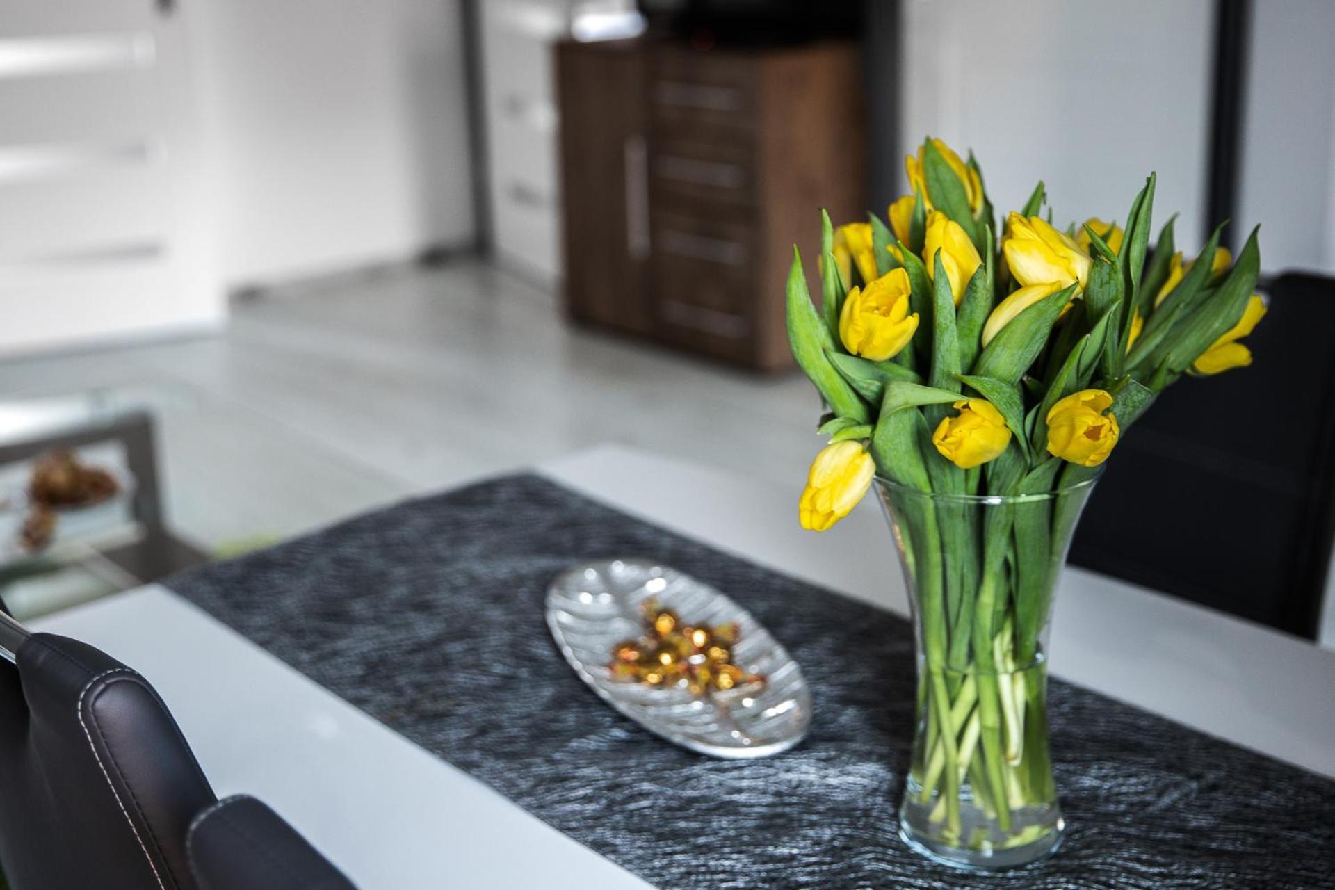 Apartament Szczesliwy Ustrzyki Dolne Extérieur photo